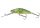 Salmo Bullhead BD6F 6cm 6g 1-1,5m wobbler BD (84436-138)