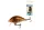 Salmo Tiny Sinking IT3S 3cm 2,5g wobbler (84503-5BP) BIP