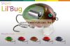 Salmo Lil Bug wobbler BG2F GBG 2,5cm 2,8g (84608-203)