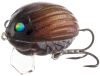 Salmo Lil Bug Wobbler BG3F MBG 3cm 4,3g (84608-305)