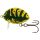 Salmo Lil Bug wobbler BG3F WSP 3cm 4,3g (84608-334)