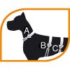 Ferplast Premium Dog Scout hátizsák kutyákra (85726099)