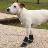 Ferplast Protective Shoes Medium lábvédő kutyacipő 2db (86802017)