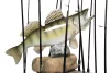 Quantum Pt Zander Rod Display 70X80X100Cm  (9970001)