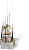 Quantum Pt Zander Rod Display 70X80X100Cm  (9970001)