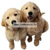 Savic Dog Park 1 - Medium kutya és kisállat karám (A3286)