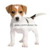 Savic Dog Park 3 - XL kutya és más kisállat karám - Óriás (A3288)