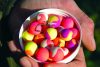 Dynamite Baits Fluro Pop-Up Two Tone Strawberry & Coconut lebegő bojli 15mm (DY593)