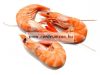 Bio Lio Shrimp (Bolharák) 120ml