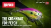 Rapala BXB03  Bx™ Brat Rapala Wobbler 5cm 10g  - BLZ színben