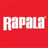 Rapala CD09 Count Down wobbler 9cm 12g - color SCPL