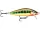 Rapala CDE75 Countdown® Elite  7,5cm 10g wobbler - GDVR színben