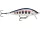 Rapala CDE75 Countdown® Elite  7,5cm 10g wobbler - GDYM színben