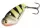Spinmad Blade Baits CMA 2,5g wobbler K0113