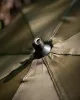 Ernyő - Fox 60" Fishing Brolly dönthető fejű erős ernyő 3m (CUM359)