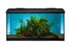 Diversa 50 Led Expert 10W Startup Black Egyenes 38 literes felszerelt akvárium szett (119683)