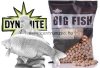 Dynamite Baits Big Fish White Chocolate & Coconut Creme  Bojli  20mm 1,8kg (DY1502)