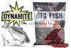 Dynamite Baits Big Fish Robin Red bojli 15mm 1,8kg  (DY1510)