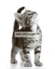 Camon Cat Collare Riflettente Textil Nyakörv Cicáknak Több Színben (Dg007)