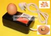 Tojás Átvilágító - Mega Egg Light - termékenység ellenőrző lámpázó (EGGL98)