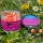 Feedermania Wafters Twisted Boilies & Barrels 8mm BCN (F0976-009)