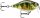 Rapala FNCS03 X-Light Crank Shallow Runner 3,5cm 4g wobbler  PEL színben