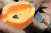 Guru X-Press Method Moulds Mini etetőanyag prés (GMMM)