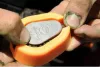Guru X-Press Method Moulds Mini etetőanyag prés (GMMM)