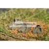 Guru Cage Hybrid Pellet Feeder Small Inline kosár 40g (GPF40)