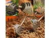 Guru Cage Hybrid Pellet Feeder Small Inline kosár 40g (GPF40)