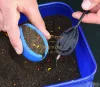 Haldorádó Tornado Method Mix - Mangó Etetőanyag 500g