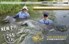Haldorádó Predator LiveTarget Vertical 180XH kuttyogató bot (HD44021)