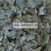 JBL ProNovo Spirulina Flakes M 250 ml (JBL31132)