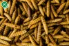 JK Animals szárított katonalégy lárva 80g (17280)