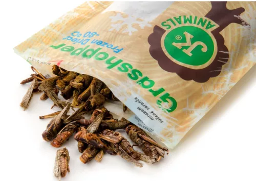 JK Animals szárított szöcske 80g (17290)