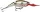 Rapala JSR05 Jointed Shad Rap® 5cm 8g wobbler - BOF