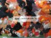 Jbl Novored Flakes Goldfish & Koi Complete 1l tavi lemezes haltáp (Jbl30220)