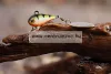 Spinmad Tail Spinner Mag 2cm 6g gyilkos wobbler  (K0701)