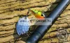 Spinmad Tail Spinner Mag 2cm 6g gyilkos wobbler  (K0701)