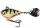 Spinmad Tail Spinner wobbler Jigmaster 3,4cm 8g (K2301)