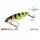Spinmad SpicyBlade Baits King 7,5cm 14g wobbler K3801