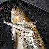 Rapala Kal26 Kallan 11cm 26g villantó - SWS színben