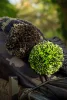 Sapka - Korda Nanny Pat Hat Dark Olive kötött sapka (KBH36)