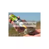 Kiana Carp Korda Power Goo Smoke Almond Supreme aroma dip (GOO09) mandula
