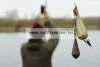 Korda Adjustable Zig Kit Bo felszíni készlet (KKIT2)