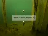 Korda Adjustable Zig Kit Bo felszíni készlet (KKIT2)