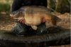 Korda Compac Hybrid Dark Kamo Mat 125x85x14cm pontymatrac (KLUG46)