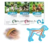 Bayer Kiltix Kullancs- és Bolhanyakörv 38cm Small (Kp095Na)