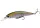 Shimano Yasei Trigger Twitch SP 90mm 11g 0m-2m Rainbow Trout (LUYASTTSP09RBT)