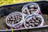 Mainline Big River Barbel Dumbell Hookbaits 10x12mm (MM4501)
